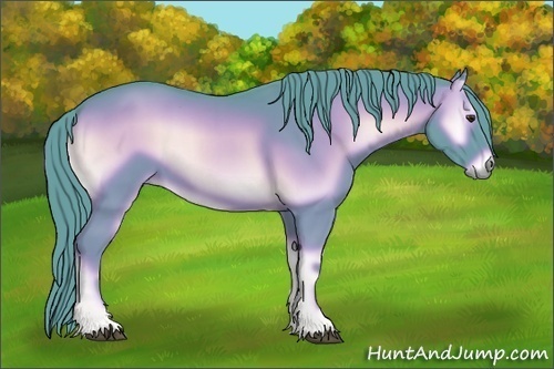 Horse Color:Watercolor Red Onyx 