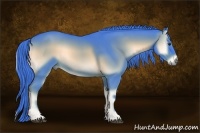 Horse Color:Watercolor Red Onyx 