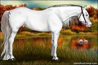 Horse Color:Black Pearl Frame Fewspot 