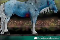 Horse Color:ERROR: UNKNOWN ANOMALY