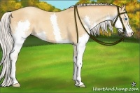 Horse Color:Silver Sable Champagne Splash