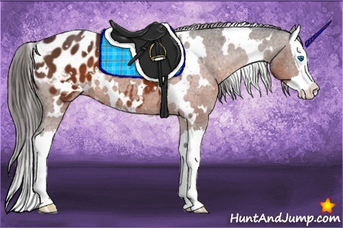 Horse Color:White Spotted Brown Splash Appaloosa 