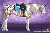 Horse Color:White Spotted Brown Splash Appaloosa 