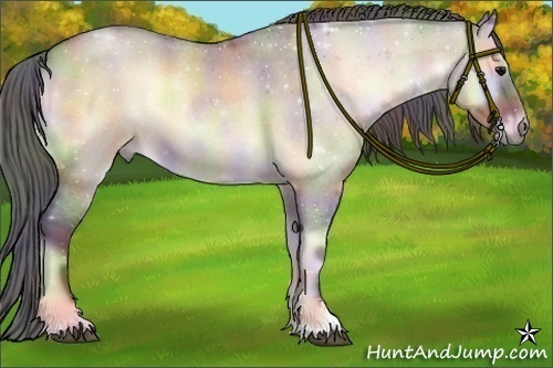 Horse Color:Nacre Bay Roan Onyx Sabino 