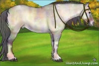 Horse Color:Nacre Bay Roan Onyx Sabino