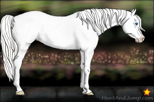 Horse Color:Silver Sable Cream Champagne Splash Appaloosa 