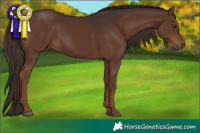 Horse Color:Liver Chestnut 