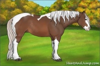 Horse Color:Silver Brown Splash Tobiano Rabicano