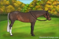 Horse Color:Silver Brown 