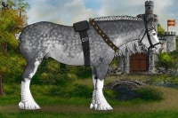 Horse Color:White Spotted Silver Black Chinchilla