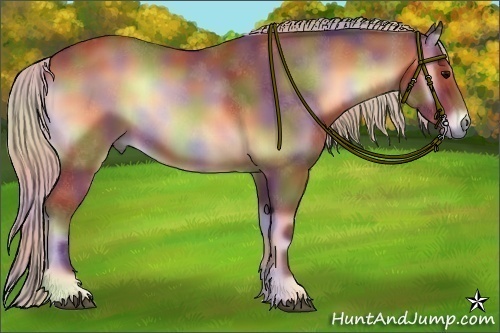 Horse Color:Nacre Silver Bay Onyx 