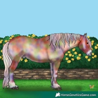 Horse Color:Nacre Silver Bay Onyx 