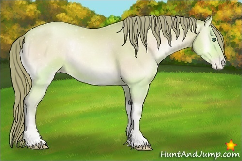 Horse Color:Watercolor Buckskin Pearl Onyx Sabino 