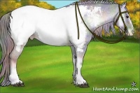 Horse Color:Nacre Blue Onyx Chinchilla Sabino Appaloosa 