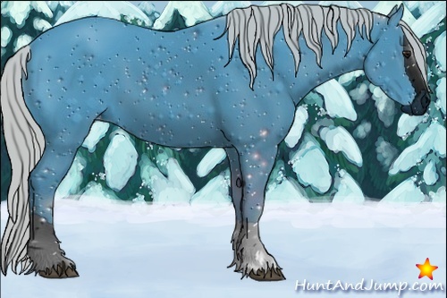 Horse Color:ERROR: UNKNOWN ANOMALY