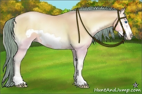 Horse Color:Watercolor Amber Champagne Pearl Onyx Frame 