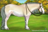 Horse Color:Watercolor Amber Champagne Pearl Onyx Frame