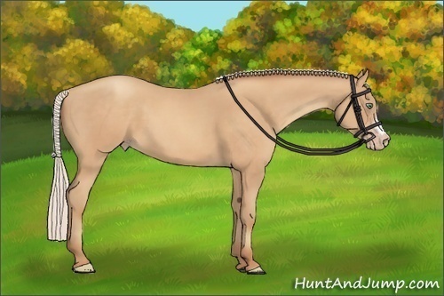 Horse Color:Silver Sable Champagne