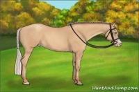 Horse Color:Silver Sable Champagne