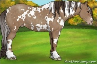 Horse Color:White Spotted Classic Champagne