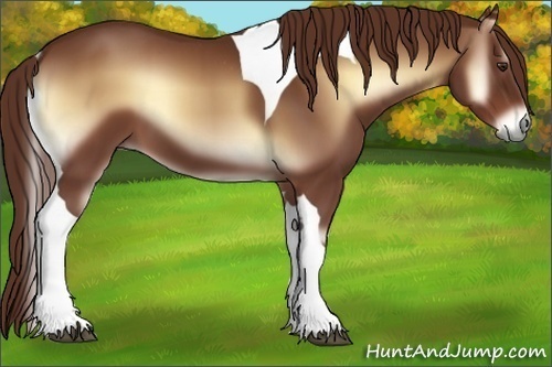 Horse Color:Red Onyx Tobiano