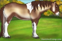 Horse Color:Red Onyx Tobiano 