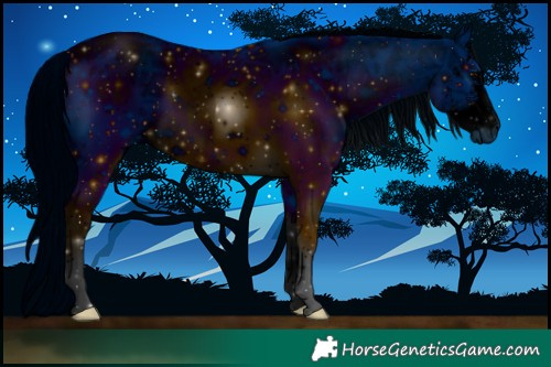 Horse Color:ERROR: UNKNOWN ANOMALY