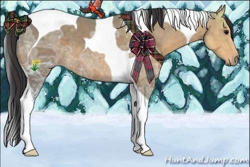 Horse Color:Buckskin Ice Tobiano 