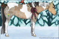 Horse Color:Buckskin Ice Tobiano 