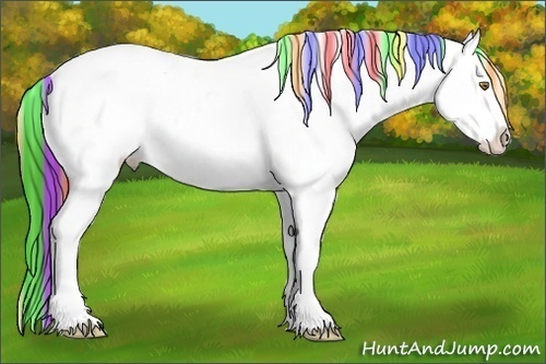 Horse Color:Painted Sable Champagne Tobiano Varnish Rabicano 
