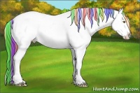 Horse Color:Painted Sable Champagne Tobiano Appaloosa Rabicano 