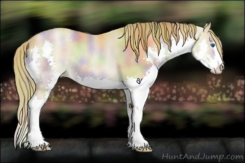 Horse Color:Nacre Watercolor Liver Chestnut Pearl Sabino Splash Rabicano 