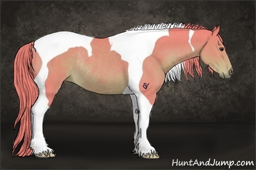 Horse Color:Watercolor Liver Chestnut Tobiano Rabicano 