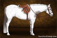 Horse Color:Grullo Splash Tobiano Frame Appaloosa