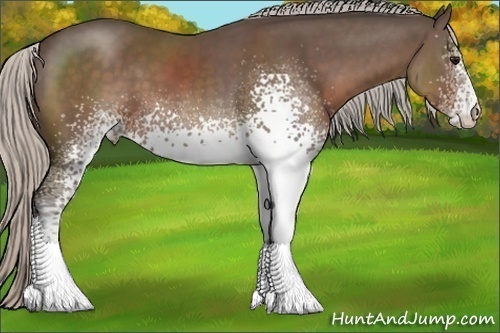 Horse Color:White Spotted Silver Black Sabino