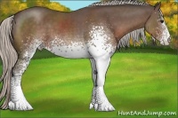 Horse Color:White Spotted Silver Black Sabino