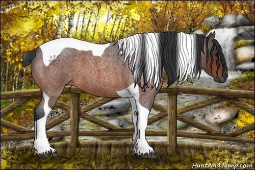 Horse Color:Bay Roan Tobiano