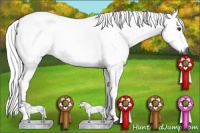 Horse Color:Gray Chestnut