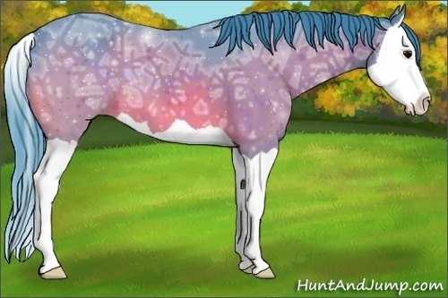 Horse Color:Watercolor Bay Ice Splash 