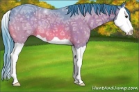Horse Color:Watercolor Bay Ice Splash