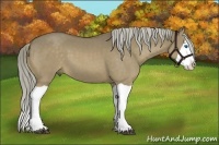 Horse Color:Chocolate Palomino Dun Splash