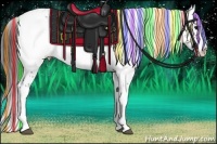 Horse Color:Painted White Spotted Bay Appaloosa 