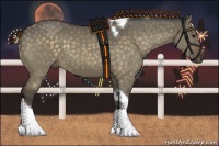 Horse Color:Painted Silver Bay Dun Tobiano Rabicano