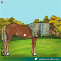 Horse Color:Gray Painted Chestnut Frame