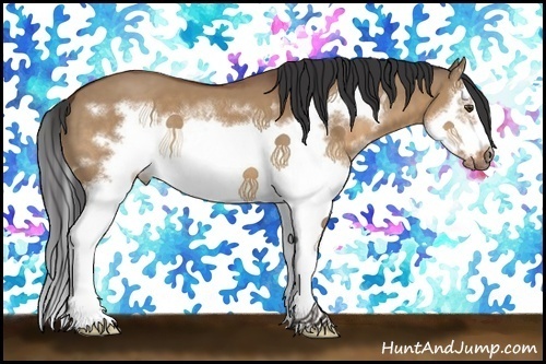 Horse Color:White Spotted Bay Dun Splash Frame 