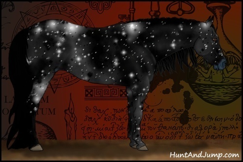 Horse Color:ERROR: UNKNOWN ANOMALY