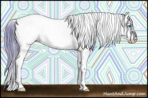 Horse Color:Watercolor Chestnut Ice Splash Appaloosa Rabicano 