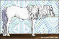 Horse Color:Watercolor Chestnut Ice Splash Appaloosa Rabicano