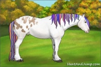 Horse Color:Painted Liver Chestnut Snowdrop Pearl Tobiano Varnish 