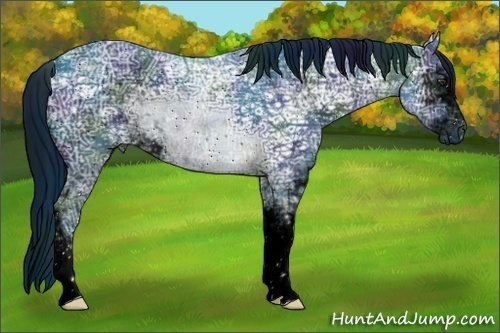 Horse Color:ERROR: UNKNOWN ANOMALY